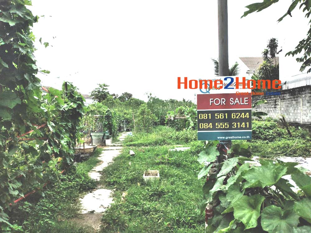 ขาย ที่ดิน 1 ไร่ ถมแล้ว หลังเดอะวอล์ค ราชพฤกษ์
